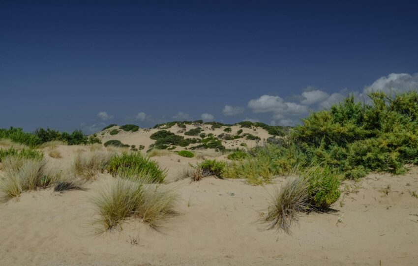 deluxetravelclub_wakacje na sardynii-13_7.jpg